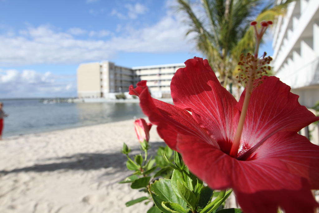 Princess Bayside Beach Hotel Ocean City Luaran gambar